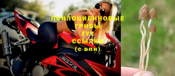 герыч Медвежьегорск