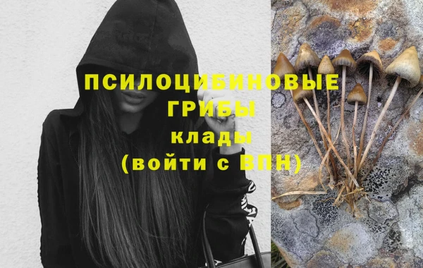 spice Мегион